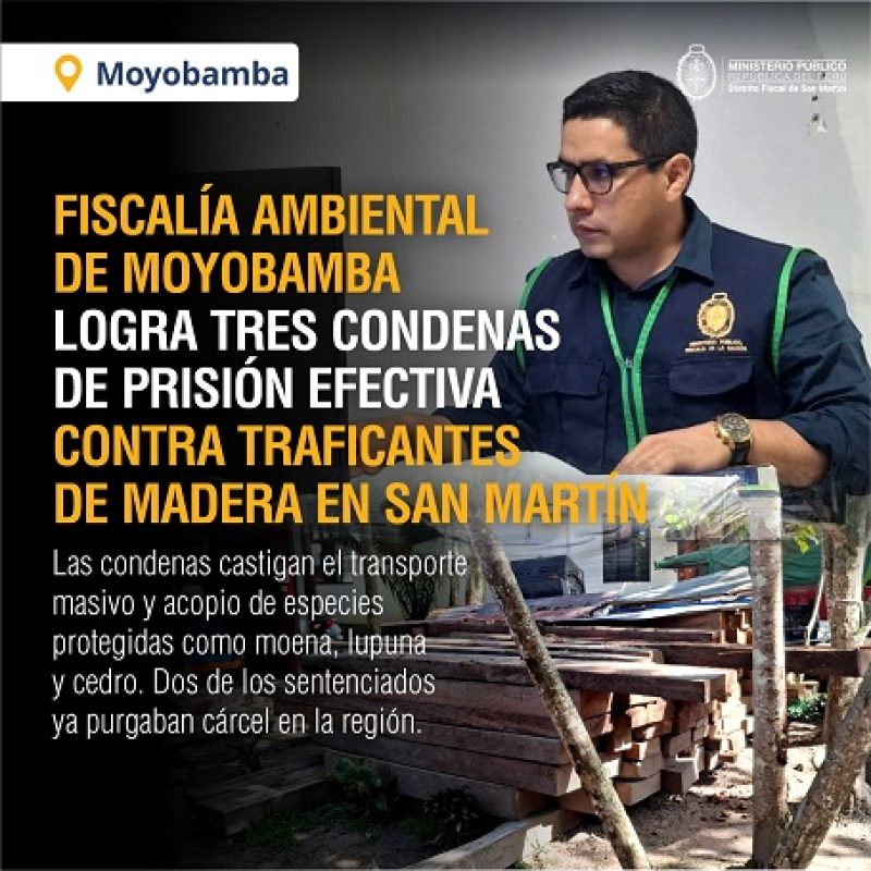 Ministerio Público (2)