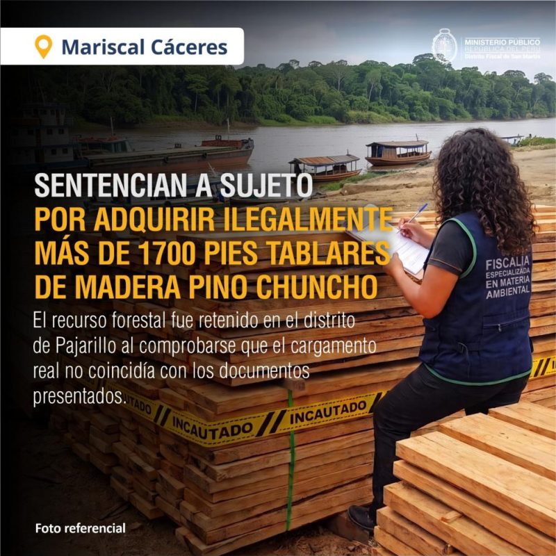 Ministerio público (4)
