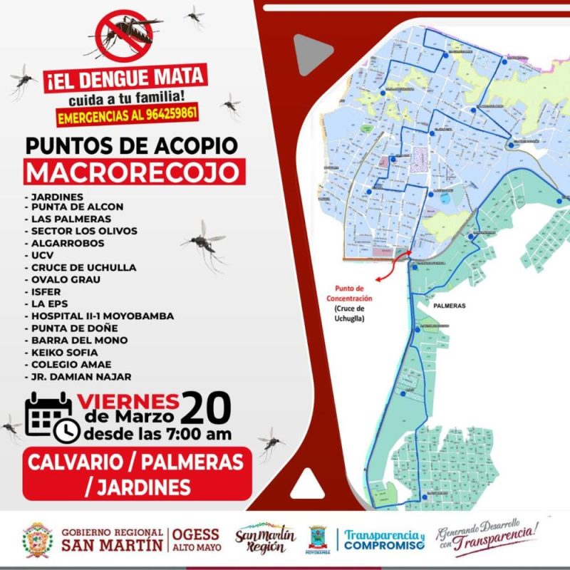 WhatsApp Image 2026-03-17 at 12.53.28 PM (1)